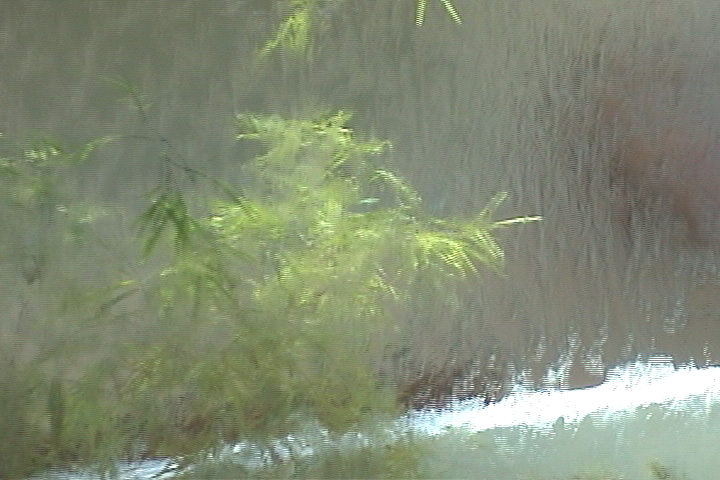 Cortina de água 076